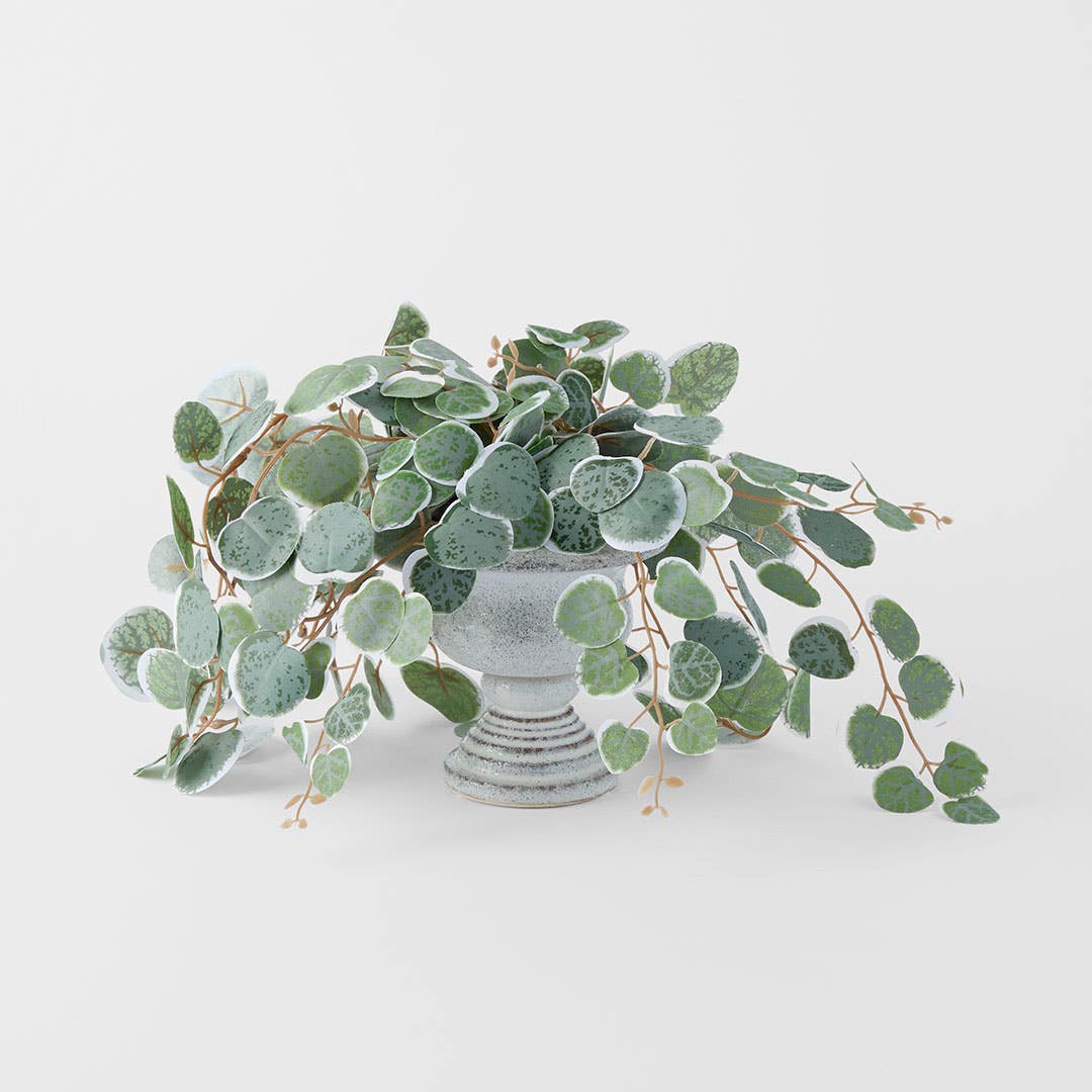 https://s3-ap-southeast-2.amazonaws.com/fusionfactory.commerceconnect.bbnt.production/pim_media/000/202/487/M_F_S25-26_Orano-Footed-Ceramic-Planter-Sml_Grey_26632201_Scale_SI.jpg?1759727200