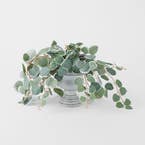 https://s3-ap-southeast-2.amazonaws.com/fusionfactory.commerceconnect.bbnt.production/pim_media/000/202/487/M_F_S25-26_Orano-Footed-Ceramic-Planter-Sml_Grey_26632201_Scale_SI.jpg?1759727200