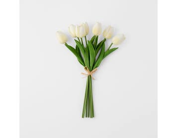 https://s3-ap-southeast-2.amazonaws.com/fusionfactory.commerceconnect.bbnt.production/pim_media/000/203/043/M_F_S25-26_Tulip-Bunch-7-Stems_Cream_26657203_SI.jpg?1760507662