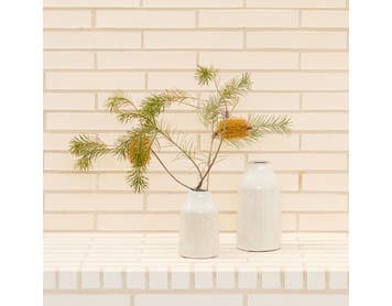 https://s3-ap-southeast-2.amazonaws.com/fusionfactory.commerceconnect.bbnt.production/pim_media/000/172/278/M_F_Summer_S24-25_LS_Location_Decorator_Della_Vase_LRG_SML_SI.jpg?1728533316