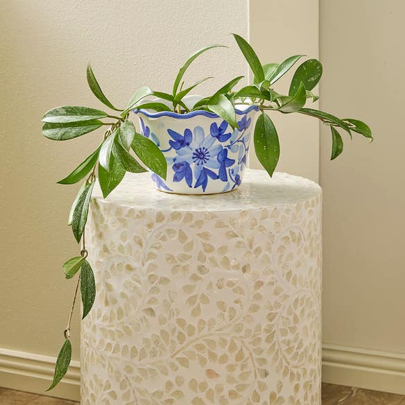 https://s3-ap-southeast-2.amazonaws.com/fusionfactory.commerceconnect.bbnt.production/pim_media/000/180/614/M_F_Tivoli-Ceramic-Planter-Sml_Blue-White_LS_SI.jpg?1734055559