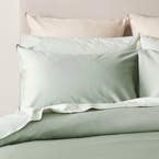 https://s3-ap-southeast-2.amazonaws.com/fusionfactory.commerceconnect.bbnt.production/pim_media/000/195/862/M_F_W25_BOP_Peyton-Seafoam_QQC_Pillow_SI.jpg?1749616977