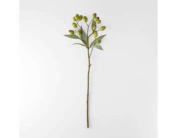 https://s3-ap-southeast-2.amazonaws.com/fusionfactory.commerceconnect.bbnt.production/pim_media/000/206/433/M_F_W26_Eucalyptus-Gumnut-Stem_Green_26920401_V2_SI.jpg?1767156713