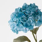 https://s3-ap-southeast-2.amazonaws.com/fusionfactory.commerceconnect.bbnt.production/pim_media/000/206/470/M_F_W26_Hydrangea-Stem_Blue_26920201_Detail_SI.jpg?1767157832