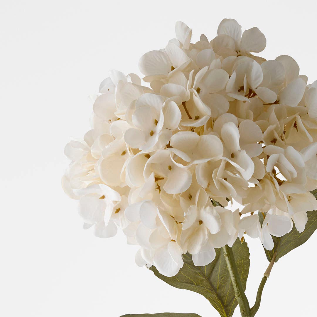 https://s3-ap-southeast-2.amazonaws.com/fusionfactory.commerceconnect.bbnt.production/pim_media/000/206/475/M_F_W26_Hydrangea-Stem_Cream_26920204_Detail_SI.jpg?1767157881