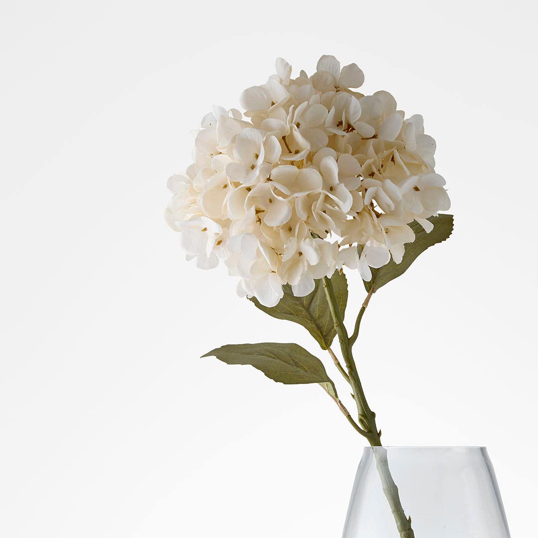 https://s3-ap-southeast-2.amazonaws.com/fusionfactory.commerceconnect.bbnt.production/pim_media/000/206/473/M_F_W26_Hydrangea-Stem_Cream_26920204_SI.jpg?1767157881