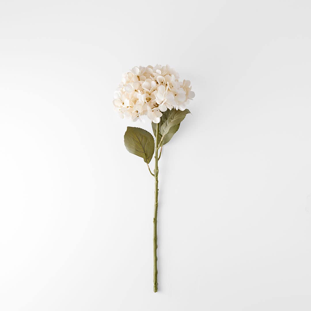 https://s3-ap-southeast-2.amazonaws.com/fusionfactory.commerceconnect.bbnt.production/pim_media/000/206/474/M_F_W26_Hydrangea-Stem_Cream_26920204_V2_SI.jpg?1767157881