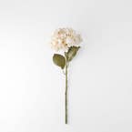 https://s3-ap-southeast-2.amazonaws.com/fusionfactory.commerceconnect.bbnt.production/pim_media/000/206/474/M_F_W26_Hydrangea-Stem_Cream_26920204_V2_SI.jpg?1767157881