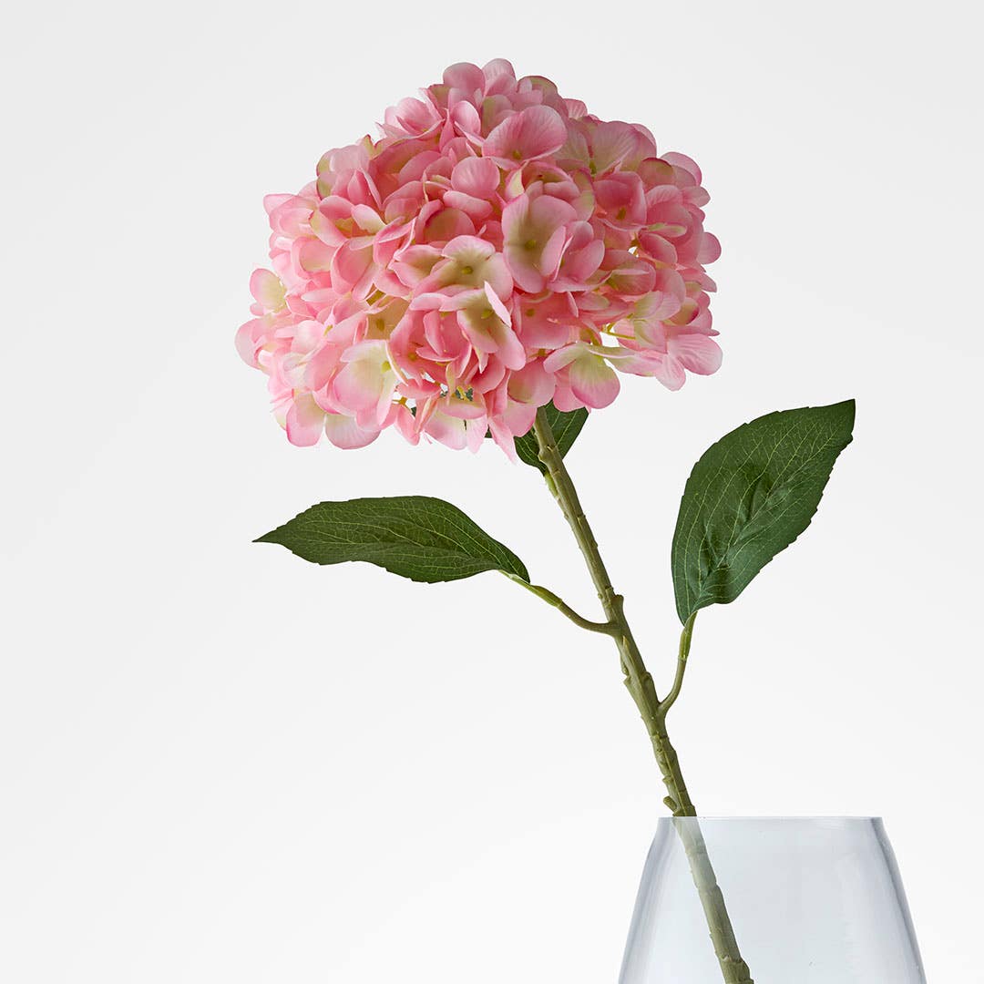 https://s3-ap-southeast-2.amazonaws.com/fusionfactory.commerceconnect.bbnt.production/pim_media/000/206/476/M_F_W26_Hydrangea-Stem_Pale-Pink_26920202_SI.jpg?1767157976