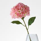https://s3-ap-southeast-2.amazonaws.com/fusionfactory.commerceconnect.bbnt.production/pim_media/000/206/476/M_F_W26_Hydrangea-Stem_Pale-Pink_26920202_SI.jpg?1767157976