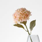 https://s3-ap-southeast-2.amazonaws.com/fusionfactory.commerceconnect.bbnt.production/pim_media/000/206/480/M_F_W26_Hydrangea-Stem_Peach_26920203_SI.jpg?1767157988