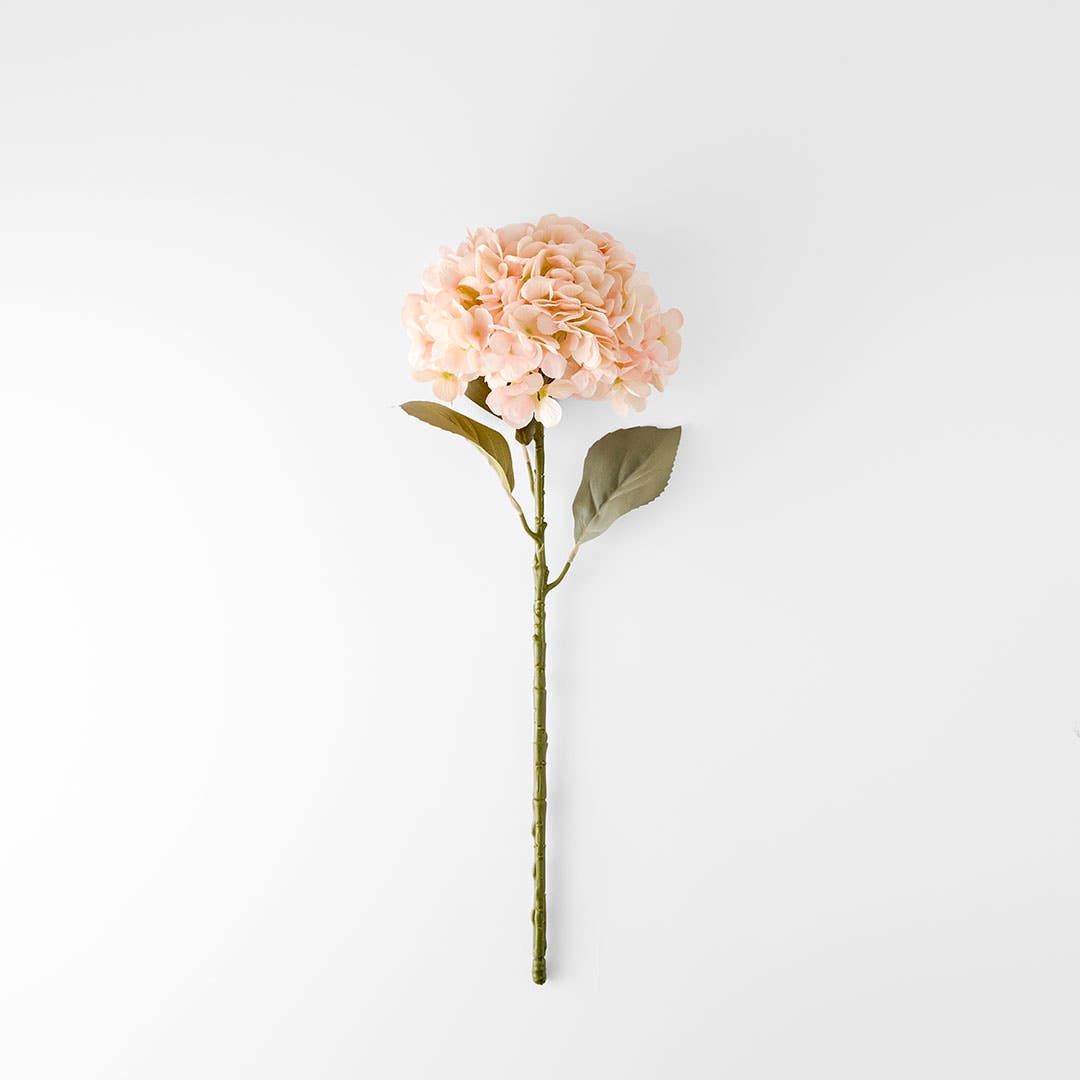 https://s3-ap-southeast-2.amazonaws.com/fusionfactory.commerceconnect.bbnt.production/pim_media/000/206/481/M_F_W26_Hydrangea-Stem_Peach_26920203_V2_SI.jpg?1767157988