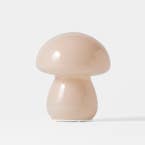 https://s3-ap-southeast-2.amazonaws.com/fusionfactory.commerceconnect.bbnt.production/pim_media/000/211/567/M_F_W26_Mushroom-LED-Light-Sml_Pink_26905501_SI.jpg?1774215351