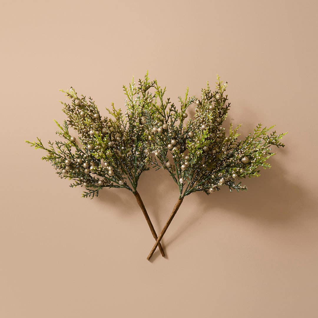 https://s3-ap-southeast-2.amazonaws.com/fusionfactory.commerceconnect.bbnt.production/pim_media/000/217/391/M_F_Xmas-26-27_LM_SPRAY_S2-Pepper-Berry-Bush-Pick_27081601_SI.jpg?1784091347