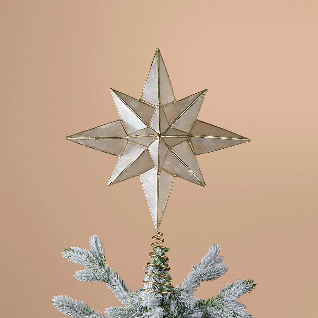 https://s3-ap-southeast-2.amazonaws.com/fusionfactory.commerceconnect.bbnt.production/pim_media/000/217/433/M_F_Xmas-26-27_LM_TOPPER_Capiz-Northern-Star-Topper_27083901_SI.jpg?1784096796