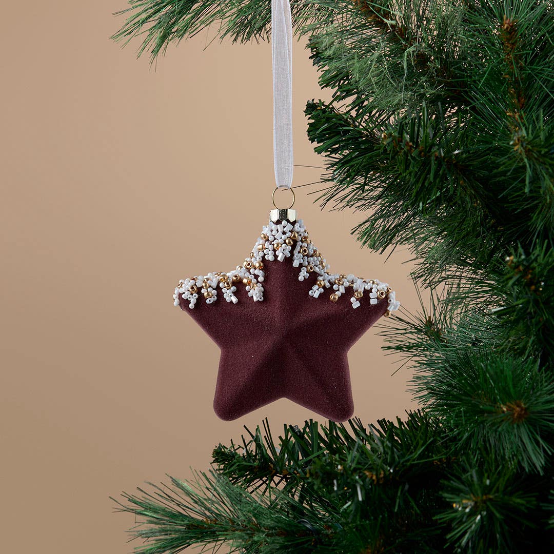 https://s3-ap-southeast-2.amazonaws.com/fusionfactory.commerceconnect.bbnt.production/pim_media/000/216/777/M_F_Xmas-26-27_S4_HT_DECS_Glass-Flocked-Beaded-Star-Dec_Burgundy_27128901_SI.jpg?1783651867