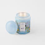 https://s3-ap-southeast-2.amazonaws.com/fusionfactory.commerceconnect.bbnt.production/pim_media/000/201/877/S25-26_Adore-Florette-Scented-Candle-Jar-600g_Lemon-Cedar_Blue_26591201_SI.jpg?1759208099