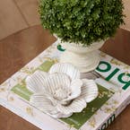 https://s3-ap-southeast-2.amazonaws.com/fusionfactory.commerceconnect.bbnt.production/pim_media/000/192/827/Tepary_In_Pot_Peony_Ceramic_Sculpture_2_SI.jpg?1743640908