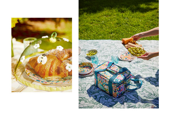 Picnic Essentials