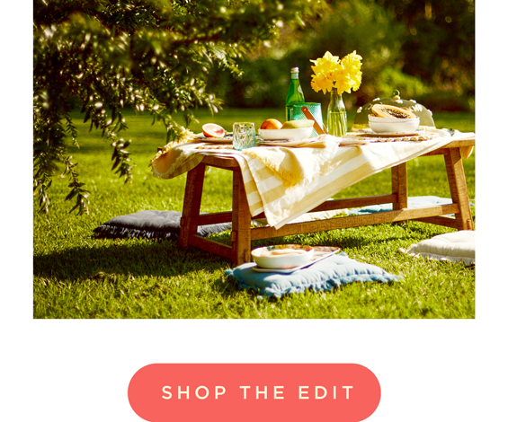 Picnic Essentials